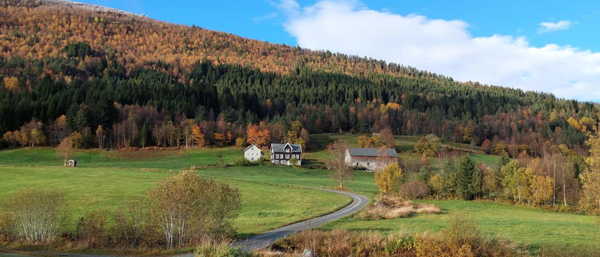 Heggjabygda Gjestegard, Нурфіордейд Екстер'єр фото